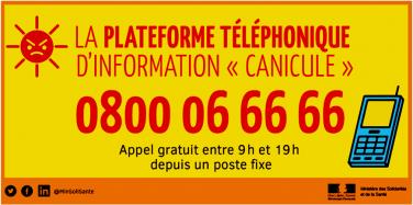 Plan canicule, la plateforme téléphonique : 0800 06 66 66