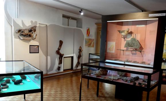 Le musée d’histoire naturelle et d’ethnographie