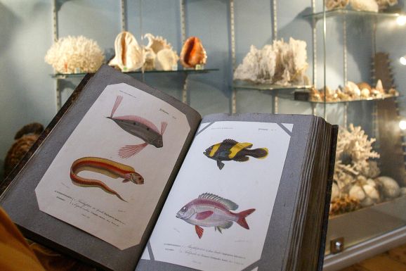 Le musée d’histoire naturelle et d’ethnographie