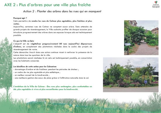 vegetalisation-image-axe-2-act-2.jpg