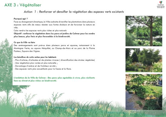 vegetalisation-image-axe-3-act-1.jpg