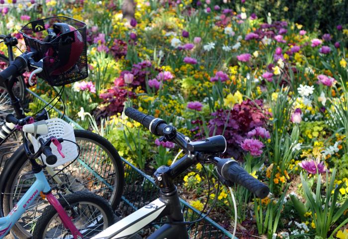 vélo