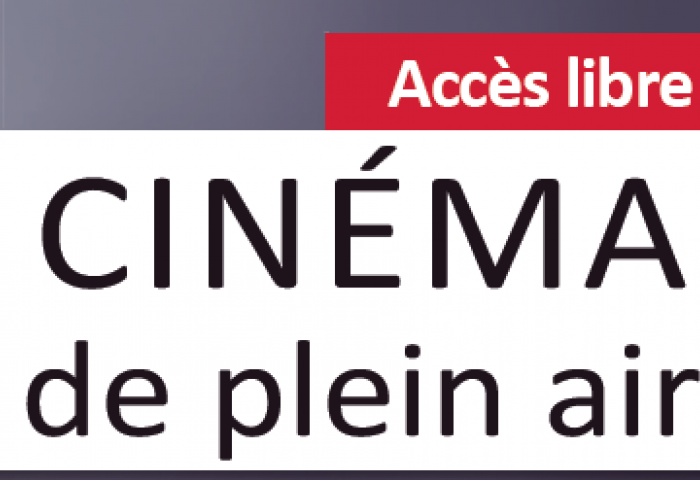 Cinéma de plein air