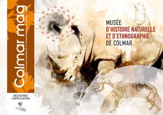 Visuel du Colmar mag : Musée d'histoire naturelle et d'ethnographie de Colmar